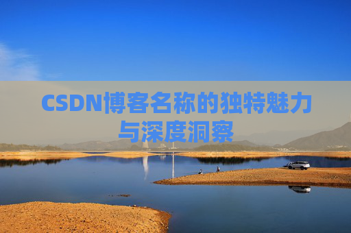 CSDN博客名称的独特魅力与深度洞察