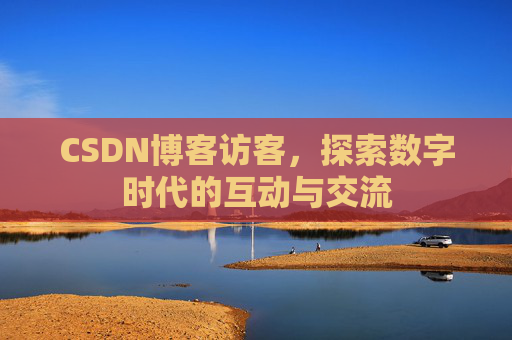 CSDN博客访客，探索数字时代的互动与交流