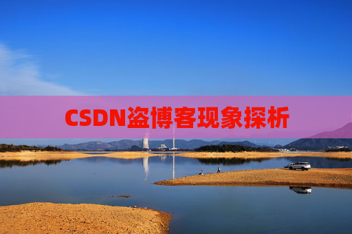 CSDN盗博客现象探析